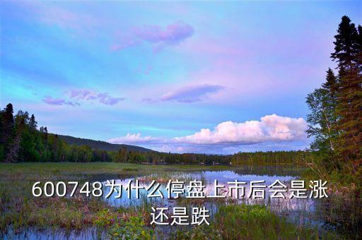 600748為什么停盤上市后會是漲還是跌