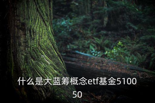 什么是大藍(lán)籌概念etf基金510050