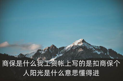商保是什么，什么叫商業(yè)保險和社會保險