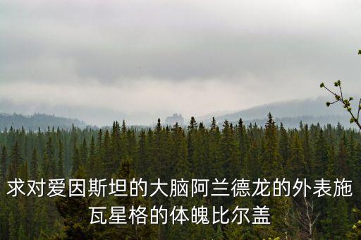 求對(duì)愛(ài)因斯坦的大腦阿蘭德龍的外表施瓦星格的體魄比爾蓋