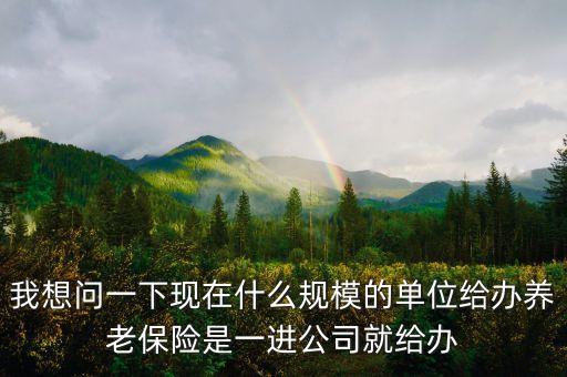 什么規(guī)模企業(yè)可以購買養(yǎng)老保險，我想問一下現(xiàn)在什么規(guī)模的單位給辦養(yǎng)老保險是一進公司就給辦