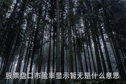 股票盤口市盈率顯示暫無是什么意思