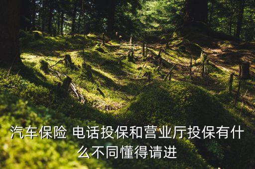 汽車保險(xiǎn) 電話投保和營(yíng)業(yè)廳投保有什么不同懂得請(qǐng)進(jìn)