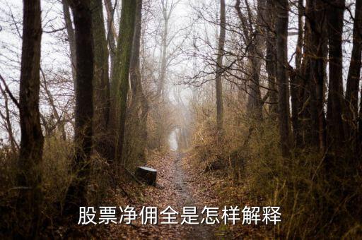 股票凈手續(xù)費(fèi)是什么意思，股票交易中手續(xù)費(fèi)和凈手續(xù)費(fèi)有區(qū)別嗎