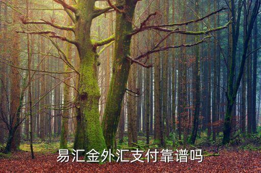 易匯金出是什么，易匯金外匯支付靠譜嗎