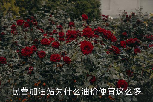 民營(yíng)加油站為什么油價(jià)便宜這么多