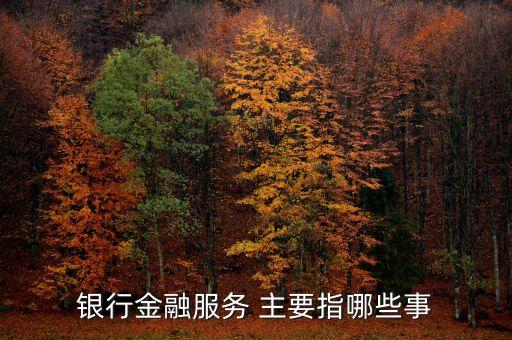 銀行綜合金融服務(wù)具體做什么，銀行金融服務(wù) 主要指哪些事