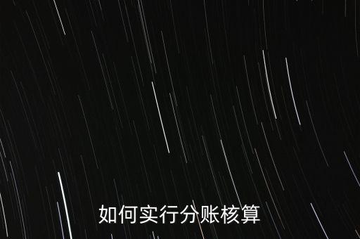 什么是分賬核算，如何實行分賬核算