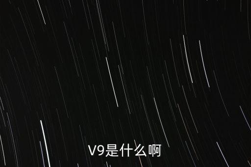 瀘州貢酒v9什么意思，V9是什么啊