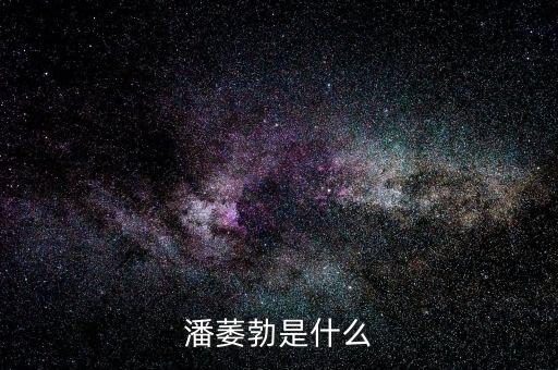 潘咳連是什么，潘周聃什么梗