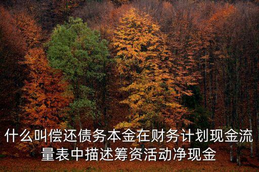 什么叫償還債務(wù)本金在財務(wù)計劃現(xiàn)金流量表中描述籌資活動凈現(xiàn)金