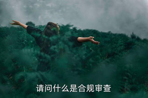 請(qǐng)問(wèn)什么是合規(guī)審查
