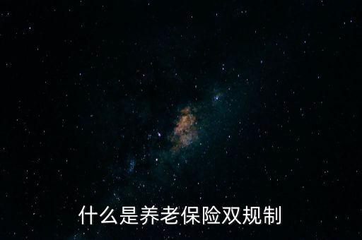 什么是養(yǎng)老保險雙規(guī)制