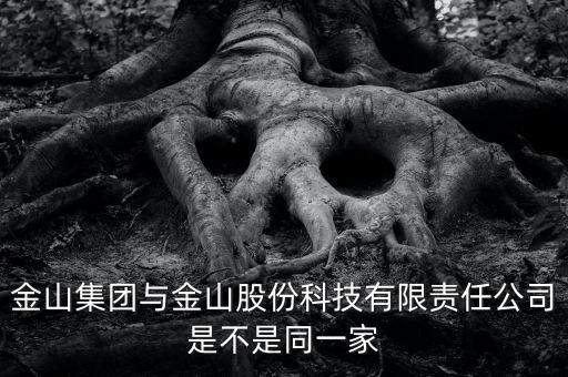 金山集團(tuán)與金山股份科技有限責(zé)任公司是不是同一家