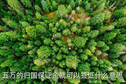 什么是歸國保證金，五萬的歸國保證金就可以簽證什么意思