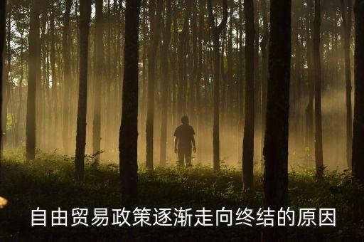 為什么取消自貿(mào)區(qū)，自貿(mào)區(qū)的定義