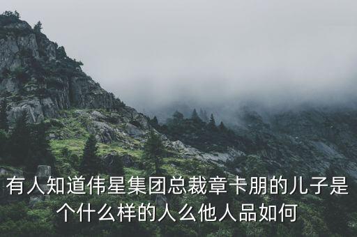 有人知道偉星集團(tuán)總裁章卡朋的兒子是個(gè)什么樣的人么他人品如何