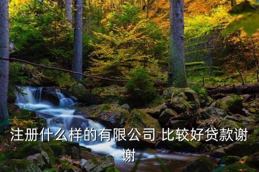 注冊什么樣的有限公司 比較好貸款謝謝