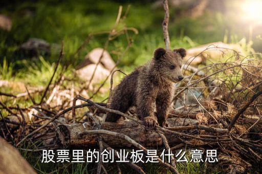 股票創(chuàng)業(yè)板什么意思，股票中的創(chuàng)業(yè)板是什么意思