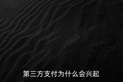 第三方支付為什么會(huì)興起