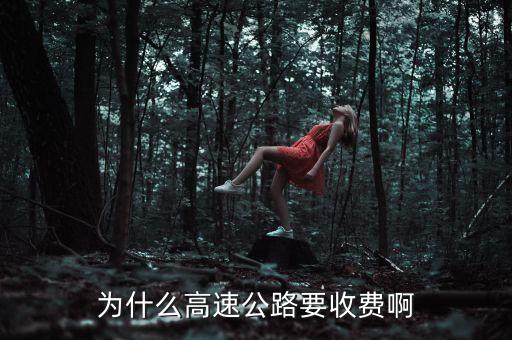 中國高速公路為什么要收費(fèi)，為什么高速公路要收費(fèi)啊