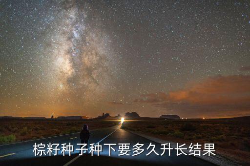 棕籽種子種下要多久升長(zhǎng)結(jié)果