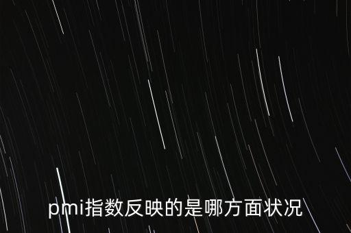pmi指數(shù)反映的是哪方面狀況
