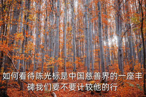 為什么說陳光標(biāo)暴力慈善，陳光標(biāo)是什么人為什么要裸捐