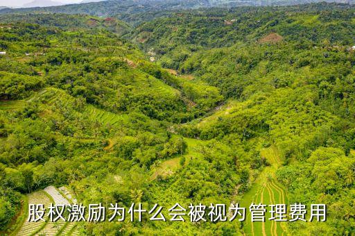 為什么股權(quán)激勵費(fèi)用會增加，旗濱集團(tuán)為什么股權(quán)激勵后 總股本會增加