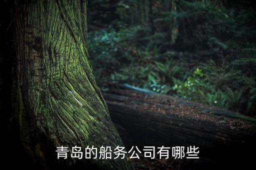 青島有個什么船運走私，青島的船務公司有哪些