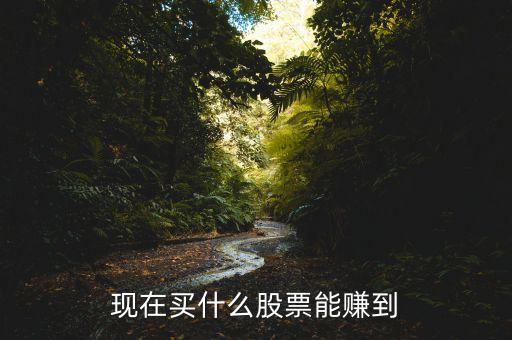 現在買什么股票能賺到