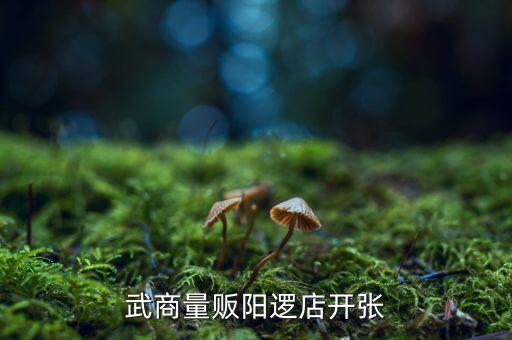老河口武商什么開業(yè)，武商量販?zhǔn)叩晔鞘裁磿r候開業(yè)的