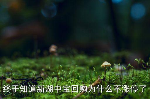 新湖中寶為什么停牌，A股的600208新湖中寶為什么停牌