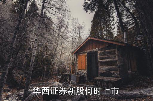 華西證券新股何時上市