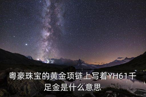 粵豪珠寶千足金后46什么意思，粵豪珠寶的黃金項(xiàng)鏈上寫(xiě)著YH61千足金是什么意思