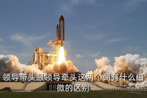 領(lǐng)導(dǎo)帶頭跟領(lǐng)導(dǎo)牽頭這兩個詞有什么細(xì)微的區(qū)別