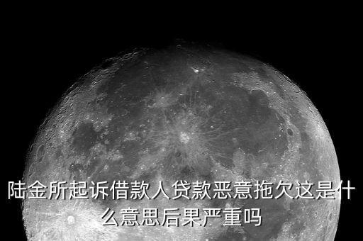 陸金所欠款被告屬于什么案件，欠陸金所錢起訴我咋騙