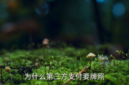 為什么第三方支付要牌照