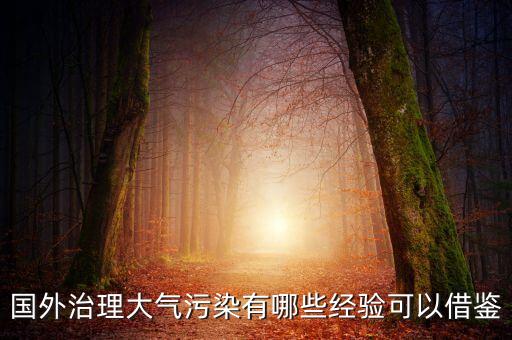 國外治理大氣污染有哪些經(jīng)驗(yàn)可以借鑒