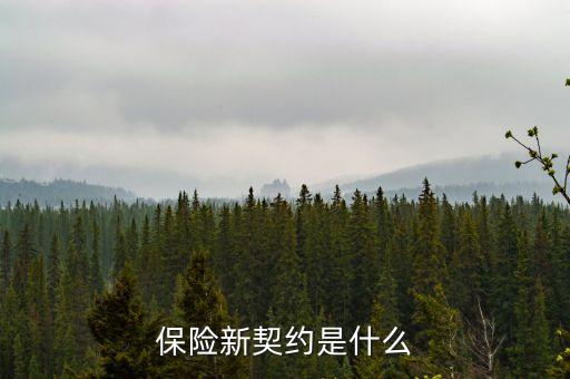 保險新契約是什么