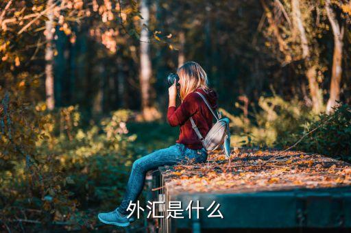 外匯之聲是什么，外匯是什么