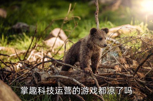 掌趣科技運(yùn)營的游戲都涼了嗎