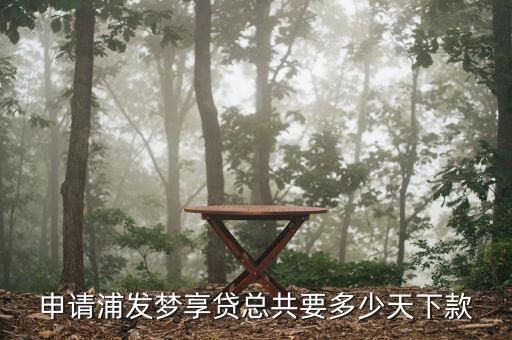 浦發(fā)夢享貸是什么，浦發(fā)銀行夢享貸有信用卡能貸嗎