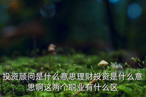 金融投資顧問是什么，投資顧問具體是什么意思