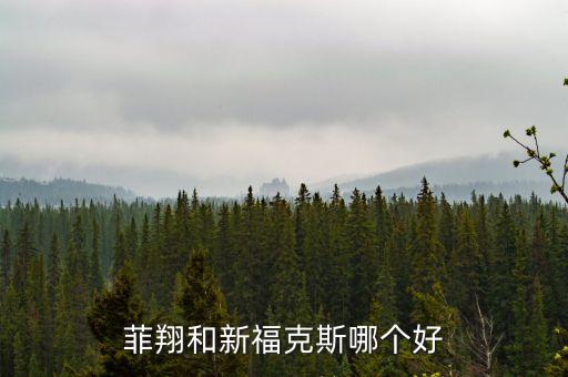 菲翔和新福克斯哪個好
