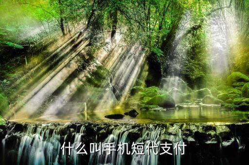 什么事短代支付，短代是什么意思
