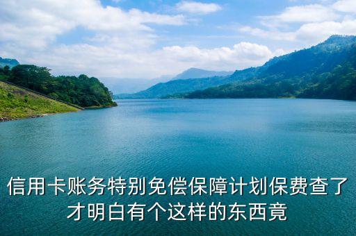 信用卡賬務(wù)特別免償保障計劃保費(fèi)查了才明白有個這樣的東西竟