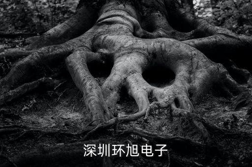 環(huán)旭電子經(jīng)營(yíng)什么，上海環(huán)旭電子有限公司在什么地方