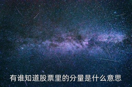 股票中的分時量是什么，有誰知道股票里的分量是什么意思