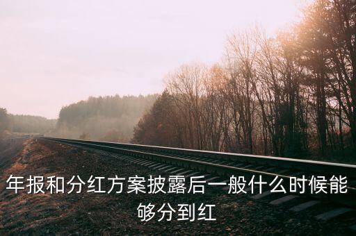 年報(bào)和分紅方案披露后一般什么時(shí)候能夠分到紅